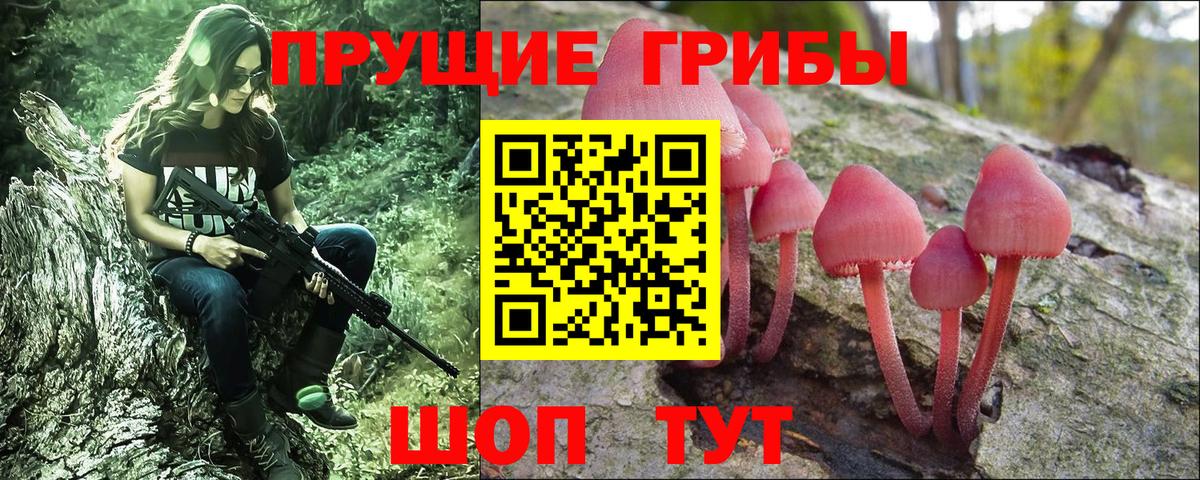 Псилоцибиновые грибы Psilocybe  Вход с VPN  Вышний Волочёк 