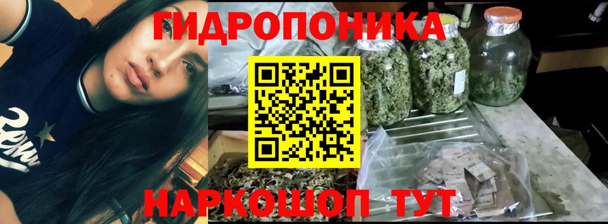 Бошки марихуана OG Kush  Марихуана MAZAR  МАРИХУАНА план  Вход с VPN  Вышний Волочёк 